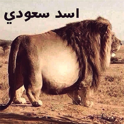 أسد سعودي صور مضحكة حديثة - صور مضحكة نكت فيس بوك واتس اب انستقرام Funny Images